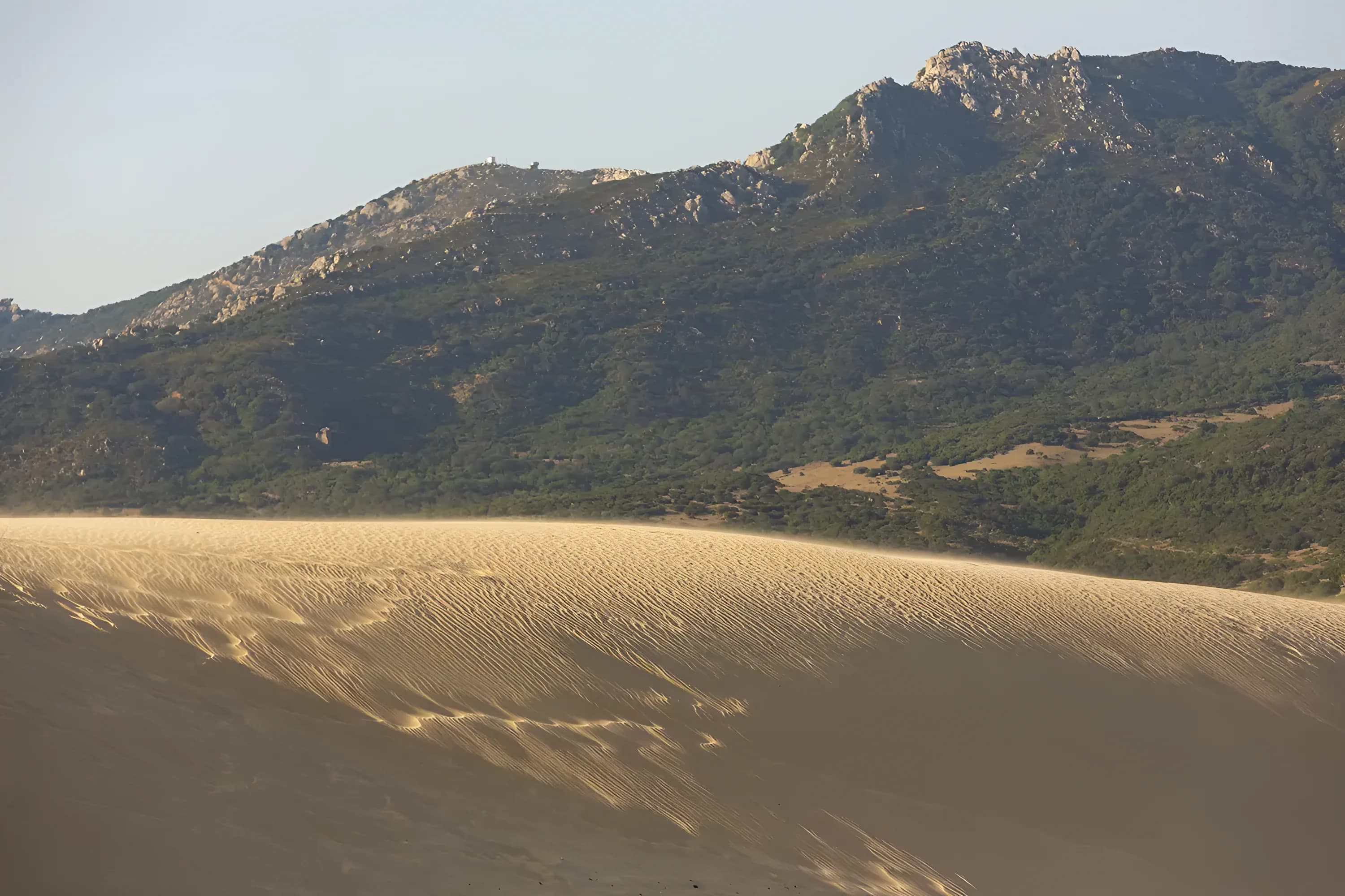 The dunes and nature reserve at Valdevaqueros, beside the resort